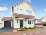 Thumbnail for sale in Speckled Wood Court, Roundswell, Barnstaple, Devon