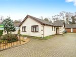 Thumbnail for sale in Steeple Close, West Canford Heath, Poole, Dorset
