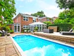 Thumbnail for sale in Hazelwood, Loughton, Essex