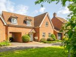 Thumbnail to rent in 6 Lavender Drive, Witham St. Hughs, Lincoln