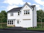 Thumbnail to rent in "Maplewood" at Jackson Way, Tranent
