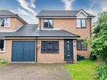 Thumbnail for sale in Wryneck Close, Colchester