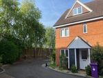 Thumbnail to rent in Pippin Grove, Royston