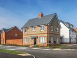 Thumbnail to rent in "Chestnut" at Water Lane, Angmering, Littlehampton