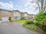 Thumbnail to rent in Bushmead Road, Eaton Socon, St Neots