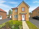 Thumbnail to rent in Hanbury Grove, Hartlepool