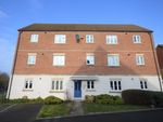 Thumbnail to rent in Morley Drive, Ely
