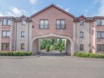 Thumbnail for sale in Oliphant Court, Stirling