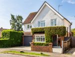 Thumbnail to rent in The Mount, Cranleigh, Surrey