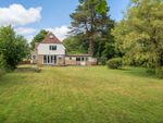 Thumbnail to rent in Wellbottom Lodge, Winterbourne Abbas