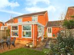 Thumbnail for sale in Appletree Lane, Roydon, Diss