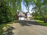 Thumbnail for sale in Matthews Close, Stratford St. Mary, Colchester, Suffolk