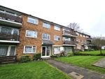 Thumbnail to rent in Cedar Drive, East Finchley