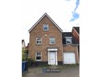 Thumbnail to rent in Caddow Road, Norwich