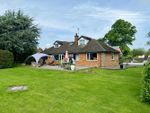 Thumbnail to rent in Moreton-On-Lugg, Hereford