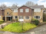 Thumbnail for sale in Fieldway, Berkhamsted, Hertfordshire