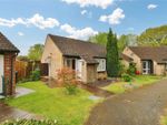Thumbnail for sale in Alterton Close, Goldsworth Park, Woking, Surrey