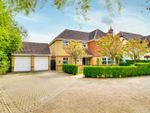 Thumbnail for sale in Copperbeech Close, St. Ives, Cambridgeshire