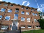 Thumbnail to rent in Bede Crescent, Newton Aycliffe