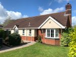 Thumbnail for sale in Chinston Close, Awliscombe, Honiton