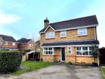 Thumbnail to rent in Collins Gardens, Ash, Surrey