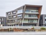 Thumbnail to rent in C4DI Complex @The Dock, Fruit Market, Hull, East Yorkshire