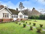 Thumbnail for sale in Hampers Lane, Storrington, Pulborough