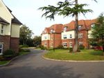 Thumbnail to rent in The Dene, Poole