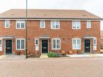 Thumbnail to rent in Buckle Mead, Eastergate, Chichester