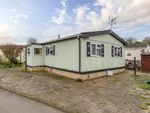 Thumbnail for sale in Meadowlands, Addlestone, Surrey