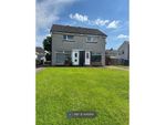 Thumbnail to rent in Boyd Drive, Motherwell