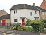 Thumbnail to rent in Rose Allen Avenue, Colchester, Essex