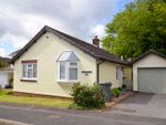 Thumbnail for sale in Freshwater Drive, Paignton