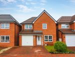 Thumbnail to rent in Bluebell Drive, Pegswood, Morpeth