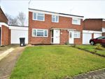 Thumbnail to rent in Knapton Close, Springfield, Chelmsford