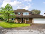 Thumbnail for sale in Ryves Avenue, Yateley