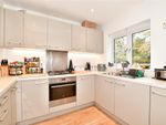 Thumbnail to rent in Sycamore Road, Cranleigh, Surrey