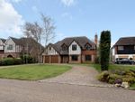 Thumbnail for sale in Wood Way, Orpington