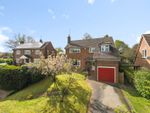Thumbnail to rent in Springhill, Elstead, Godalming
