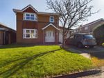 Thumbnail for sale in Shearwater, Whitburn, Sunderland