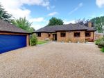 Thumbnail to rent in Moulton Road, Pitsford, Northampton, Northamptonshire