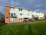 Thumbnail to rent in Amberry Court, Harlow