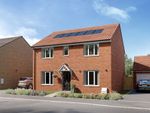 Thumbnail to rent in "The Marford - Plot 41" at Samphire Meadow, Blackthorne Avenue, Frinton-On-Sea