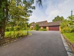 Thumbnail for sale in Baskervyle Road, Gayton, Wirral