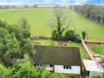 Thumbnail for sale in Kingsclere Road, Whitchurch, Hampshire