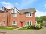 Thumbnail for sale in Hogarth Court, Sible Hedingham, Halstead
