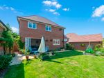 Thumbnail to rent in Owl Close, Warminster
