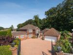 Thumbnail to rent in Wallingford Gardens, Daws Hill