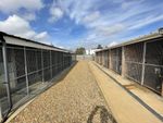 Thumbnail for sale in Kennels, Cattery &amp; Equestrian Businesses PE6, Eye, Cambridgeshire