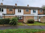 Thumbnail to rent in Caie Walk, Bury St. Edmunds